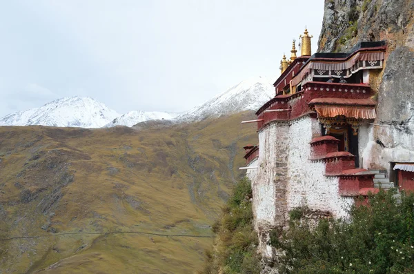 Tibet, himalaya, kloster ziehen verpa in die höhlen. — Stockfoto