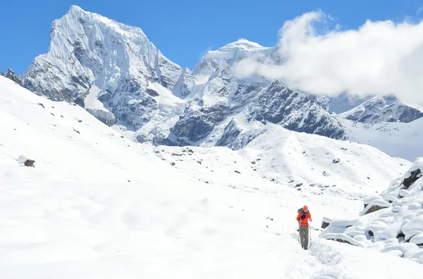 Nepál trekking Himalájában — Stock Fotó