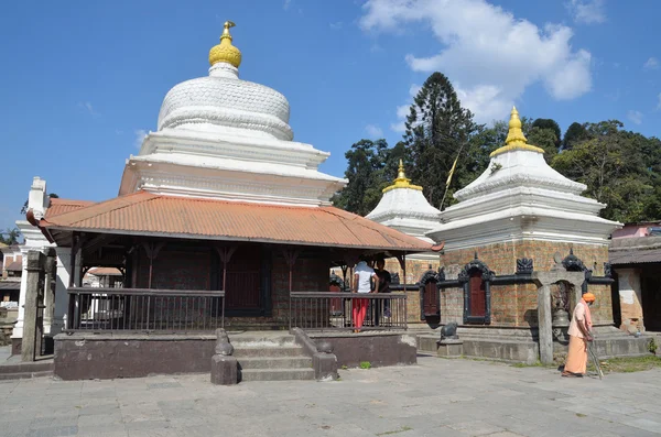 Nepal, Katmandú, complejo de templos de Pashupatinath — Foto de Stock