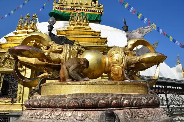 Vajra buddista - arma rituale e mitologica nell'Induismo, Buddismo tibetano e Giainismo. Nepal, Kathmandu, Svayambunath (Svayambhu ) — Foto Stock