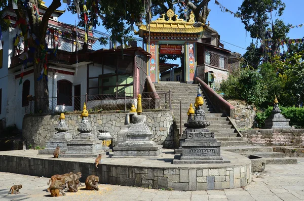 Népal, Katmandou, Swayambhunath complexe buddiste (Monkey Hill), l'un des monastères — Photo