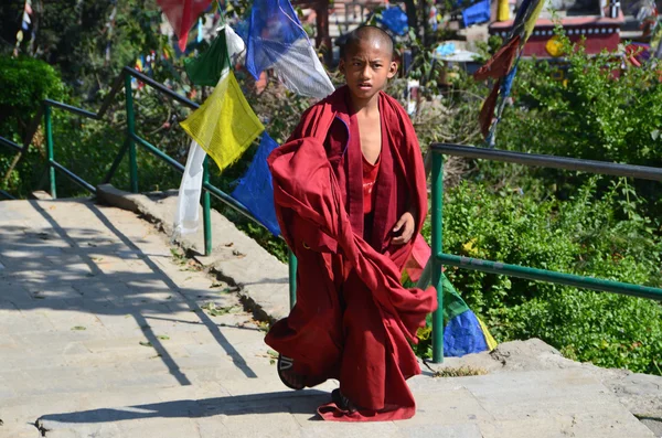 Nepal, Katmandú, complejo de templos Swayambhunath (Monkey Hill), un joven monje —  Fotos de Stock