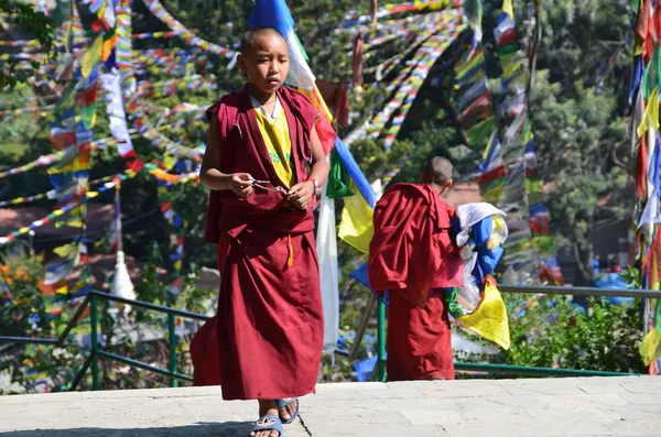 Νεπάλ, Κατμαντού, swayambhunath ναός που βρίσκεται (λόφου πίθηκος), ένας νεαρός μοναχός — Φωτογραφία Αρχείου