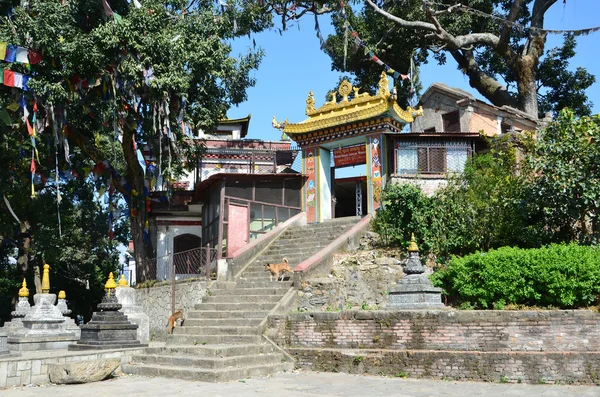 Népal, Katmandou, complexe du temple Swayambhunath (Monkey Hill), l'un des monastères — Photo