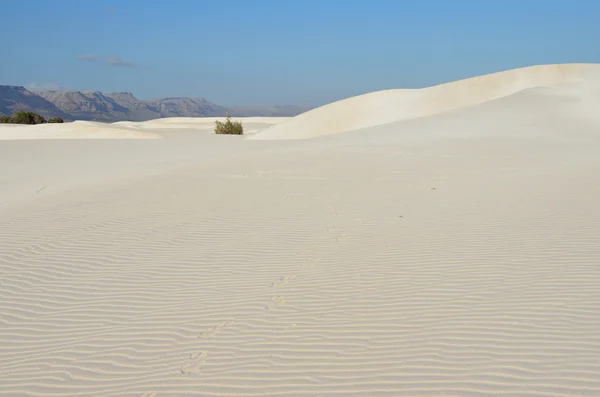 Dune a Stero sull'isola di Socotra, Yemen — Foto Stock