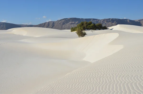 Dune a Stero, Socotra, Yemen — Foto Stock