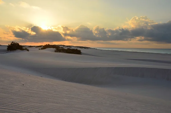 Stero içinde Dunes adlı gündoğumu, Sokotra, Yemen Adası — Stok fotoğraf