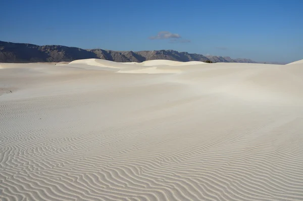 Dune a Stero, Socotra, Yemen — Foto Stock