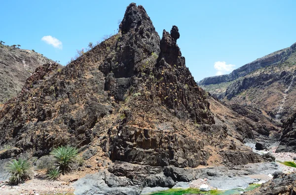 Diksam 高原近くソコトラ, イエメン渓谷 — ストック写真