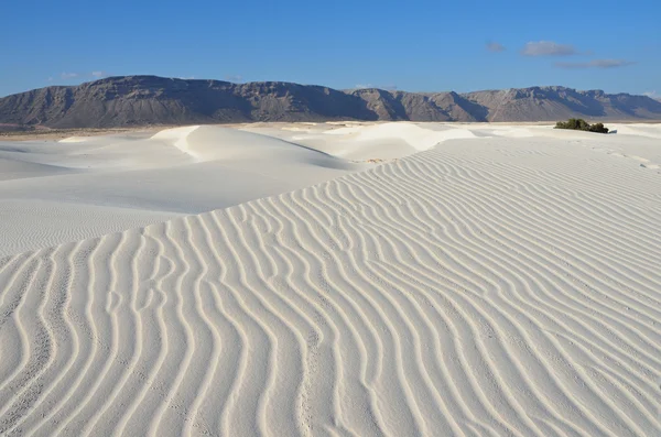 Dunes in Stero, the island of Socotra, Yemen — Stock Photo, Image