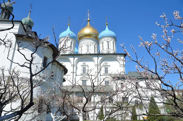 Spaso-Preobrasjenskij katedralen i novospassky kloster i Moskva — Stockfoto