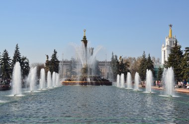 Taş çeşme ulusal ekonominin başarılarının sergi çiçek. Moskova