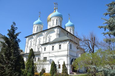 Spaso-Preobrazhensky Katedrali Novospassky Manastırı, Moskova