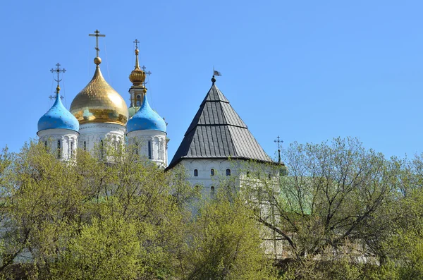 Monastero Novospassky a Mosca — Foto Stock