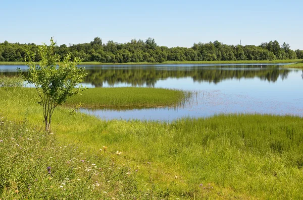 Rusia, región de Vologda, lago Borodaevskoye en verano — Foto de Stock