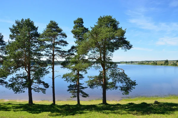 Rusko, Vologodská oblast, jezero Ferapontovskoe v létě — Stock fotografie