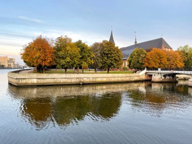 Knaiphof (Kant) adasında sonbaharda katedral. Kalininingrad, Rusya 