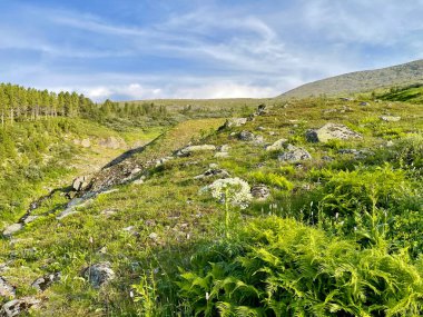  Yazın Dyatlov yakınlarındaki Ural Dağları bulutlu havada geçer. Rusya