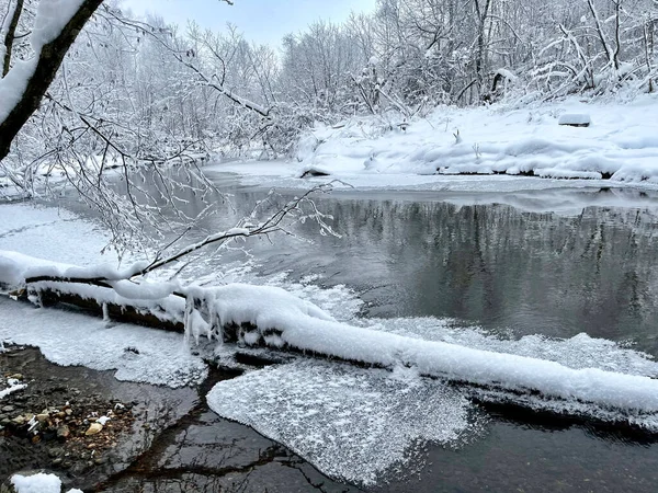 Nehir kışın Ozerna 'dır. Rusya, Moskova bölgesi, Ruzsky bölgesi