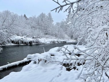 Nehir kışın Ozerna 'dır. Rusya, Moskova bölgesi, Ruzsky bölgesi