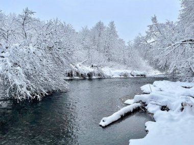 Nehir kışın Ozerna 'dır. Rusya, Moskova bölgesi, Ruzsky bölgesi