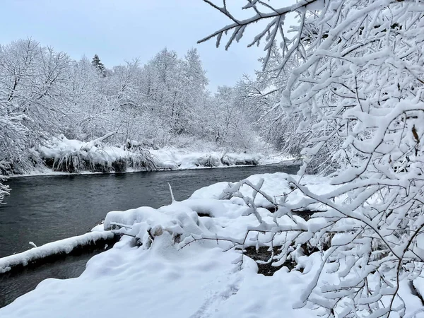 Nehir kışın Ozerna 'dır. Rusya, Moskova bölgesi, Ruzsky bölgesi