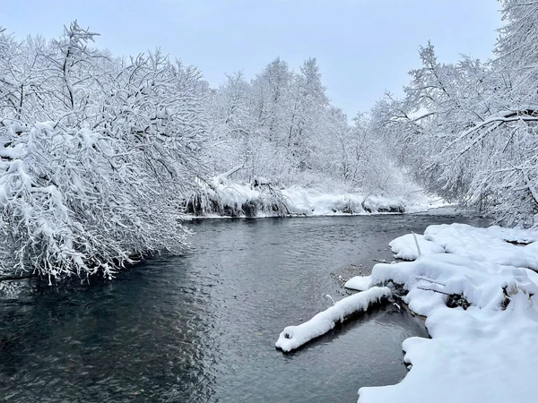 Nehir kışın Ozerna 'dır. Rusya, Moskova bölgesi, Ruzsky bölgesi