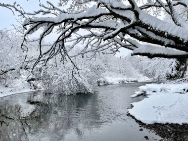 Nehir kışın Ozerna 'dır. Rusya, Moskova bölgesi, Ruzsky bölgesi