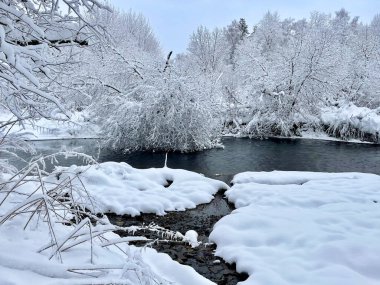 Nehir kışın Ozerna 'dır. Rusya, Moskova bölgesi, Ruzsky bölgesi