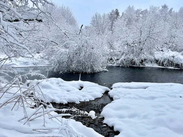 Nehir kışın Ozerna 'dır. Rusya, Moskova bölgesi, Ruzsky bölgesi
