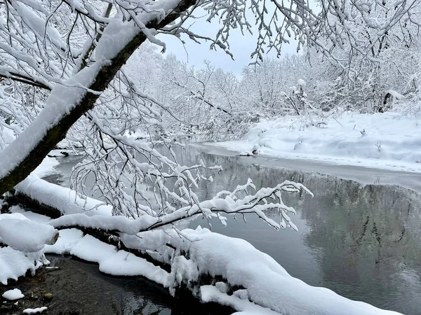 Nehir kışın Ozerna 'dır. Rusya, Moskova bölgesi, Ruzsky bölgesi