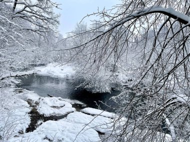 Nehir kışın Ozerna 'dır. Rusya, Moskova bölgesi, Ruzsky bölgesi