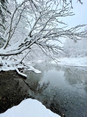 Nehir kışın Ozerna 'dır. Rusya, Moskova bölgesi, Ruzsky bölgesi