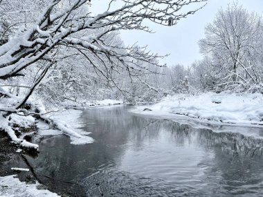 Nehir kışın Ozerna 'dır. Rusya, Moskova bölgesi, Ruzsky bölgesi