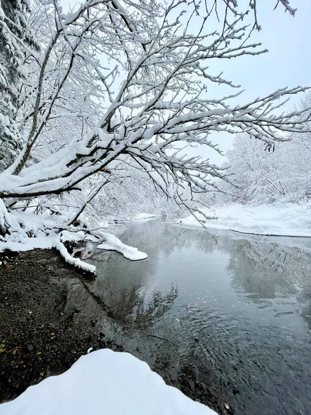 Nehir kışın Ozerna 'dır. Rusya, Moskova bölgesi, Ruzsky bölgesi