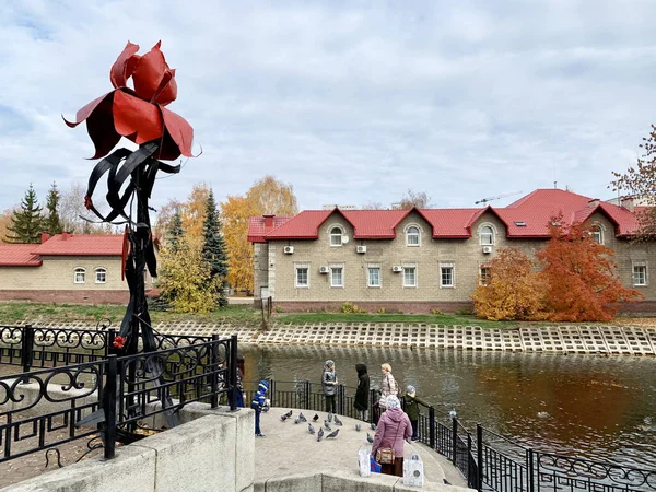 Ufa República Bashkortostán Rusia Octubre 2021 Composición Flor Escarlata Orilla — Foto de Stock