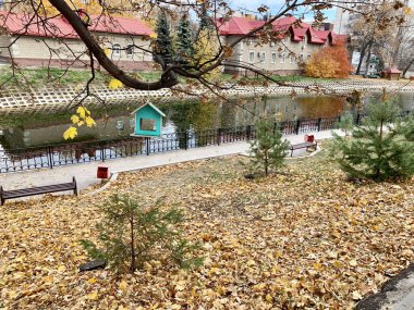 Bahçedeki gölete S.T. adını vermişler. Sonbaharda Aksakov. Ufa, Bashkortostan Cumhuriyeti