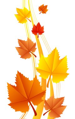 vektör çizim yaprak