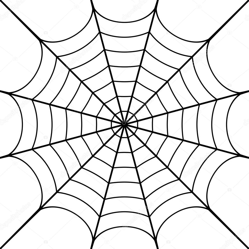 Vector illustration of cobweb