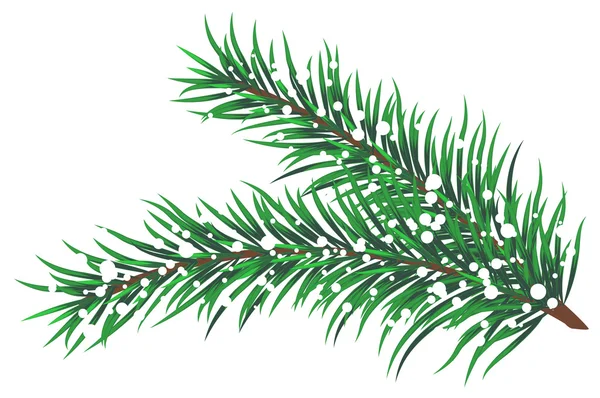 Illustration vectorielle des branches de sapin avec neige — Image vectorielle