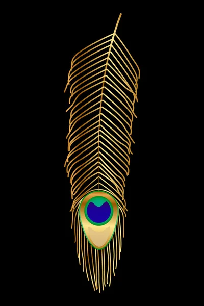 Vector illustration of peacock feather — Stock Vector