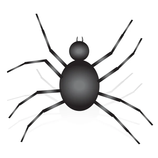 Vector illustration of spider — Stock Vector