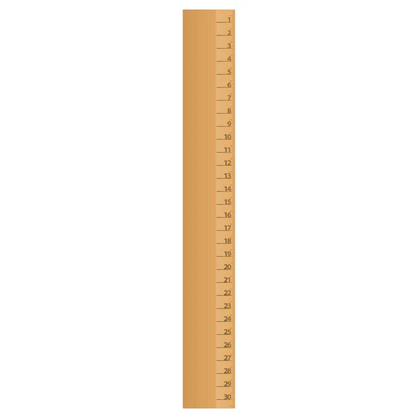 Vector illustration of wood ruler — Stock Vector