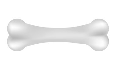 Vector illustration of bone clipart