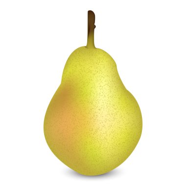 Armutun vektör illüstrasyonu