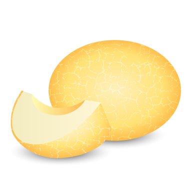 kavunun vektör illüstrasyonu