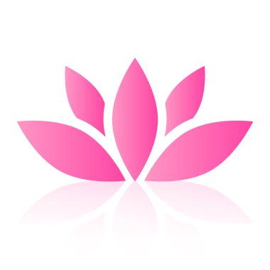 vektör lotus çiçeği