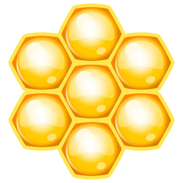 Vector illustration of honeycomb — Stock Vector