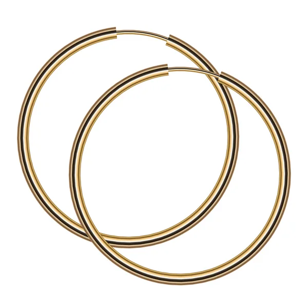 Vector illustration of gold earrings — Stock Vector