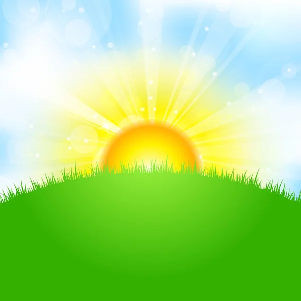 Vector illustration of sun, sky and grass — Stock Vector